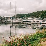 Boats and yachts are docked at a marina by the water, with flowers and greenery in the foreground and houses in the background.
