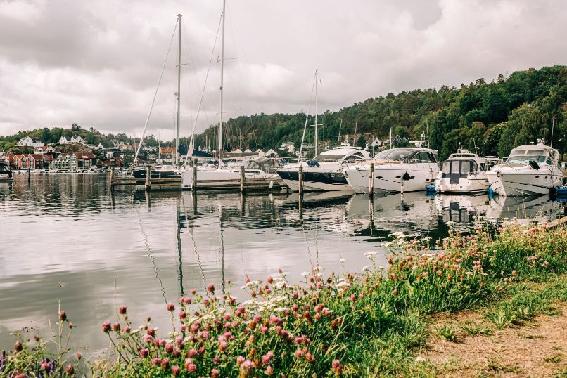 Boats and yachts are docked at a marina by the water, with flowers and greenery in the foreground and houses in the background.